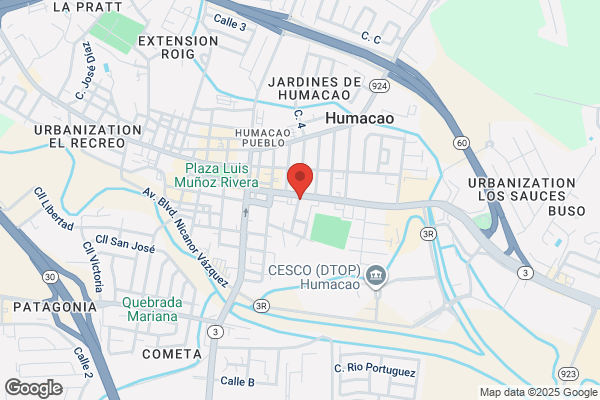 FRANCISCO ORTIZ MCWILLIA