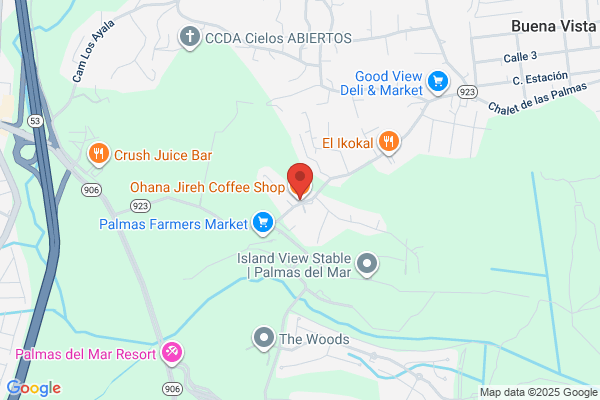 ALICEA'S COFFEE SHOP
