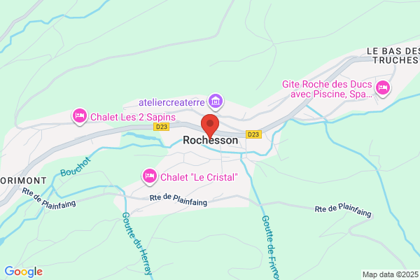 ROCHE/SYNTEX