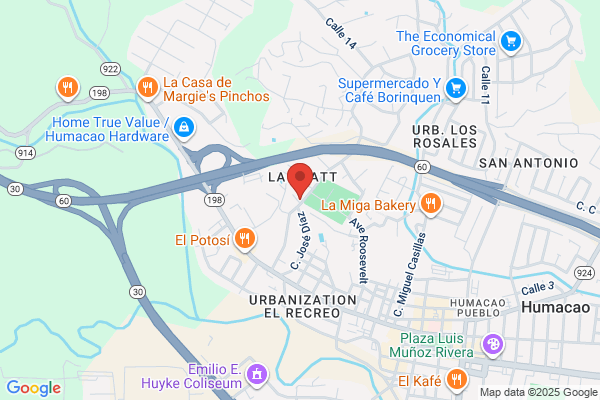 COLEGIO EMILIO DIAZ LEBRON