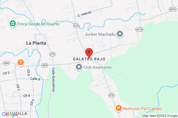 GALATEO GAS
