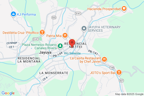 Hotel Posada Jayuya