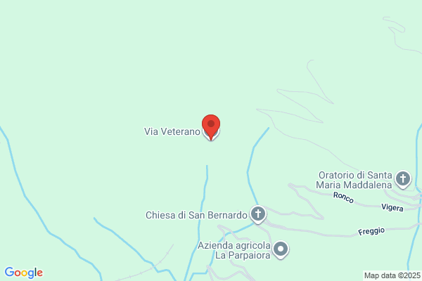 CASA DEL VETERANO INC