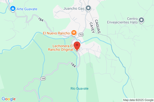 LECHONERA RANCHITO