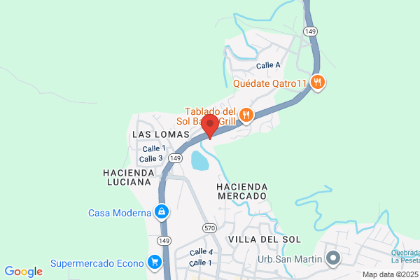JUANA DIAZ AUTO SVC STATION