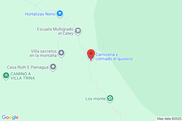 COLMADO & CARNICERIA ENRIQUITO