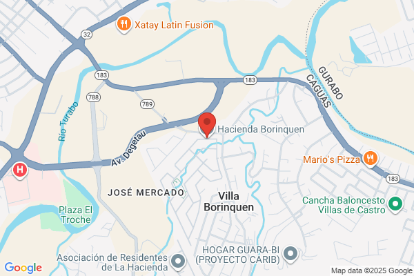 HACIENDA DE BORINQUEN DEV CORP