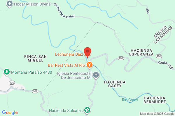 LECHONERA DIAZ GROCERY