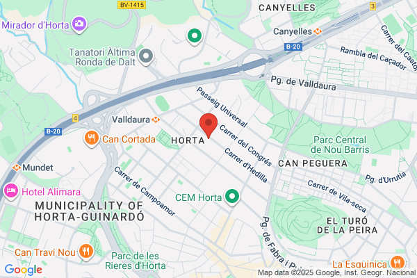 MIGUEL RODRIGUEZ COLL