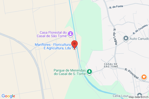 CASA AGRICOLA MIRA FLORES