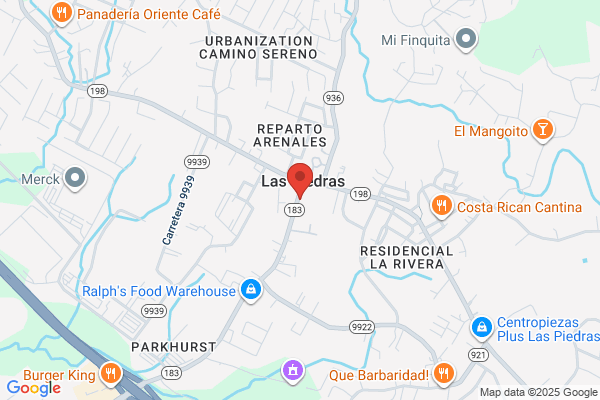 LAS PIEDRAS AUTO PARTS