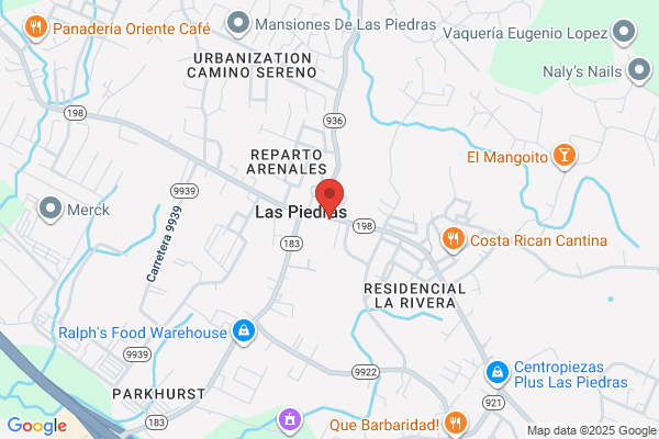 SUPERMERCADO EL BORINCANO INC