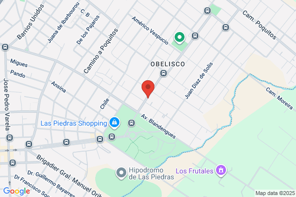COLEGIO ARCO IRIS INC