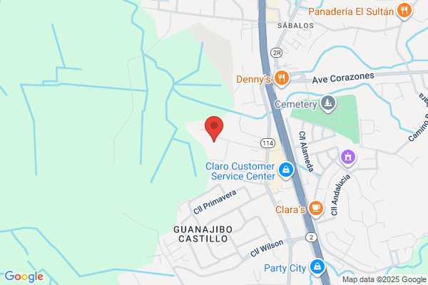 VENTO MAYAGUEZ INC
