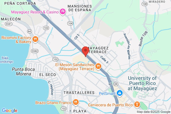 UIA-CAPITULO MAYAGUEZ
