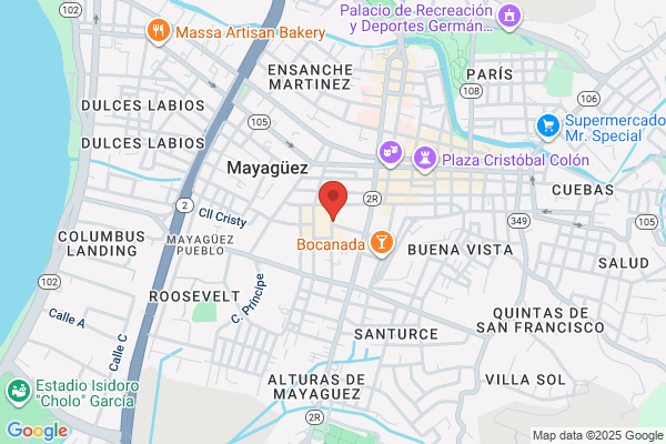 IRIZARRY RODRIGUEZ PROVIDENCIA