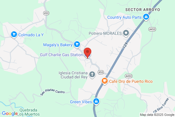 CHARLIE GAS STATION