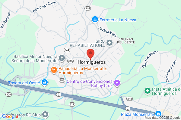 RAMON VEGA RODRIGUEZ GROCERY