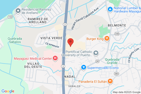 WALTER M PINEDO MD