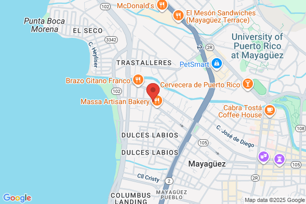 MAYAGUEZ ELECTRONIC SVC