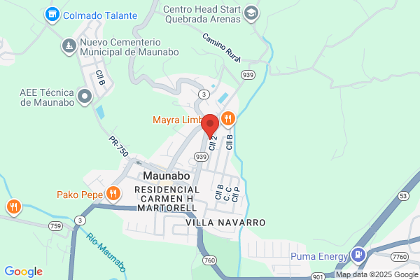 MAUNABO AUTO PARTS