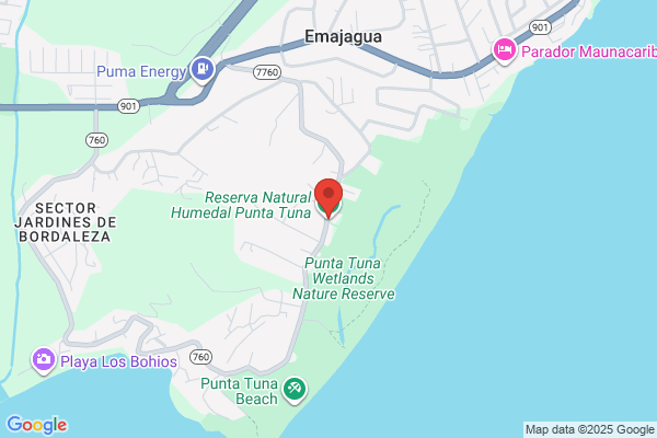 PCA OF PUERTO RICO
