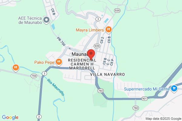 RAUL FIGUEROA GROCERY