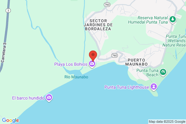 RESTAURANT LOS BOHIOS