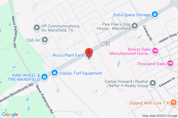 RICO PLANTS INC