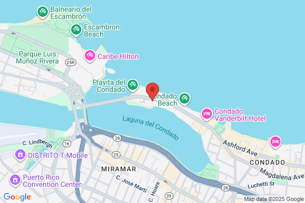 The Condado Plaza Hotel