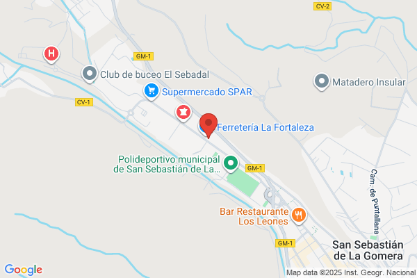 AUTO PARTS & GOMERA ACEVEDO