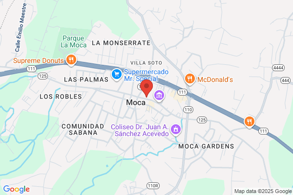 SUPERMERCADO MORALES INC