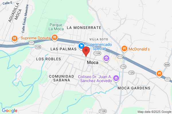 JOSE GONZALEZ OLMO MD