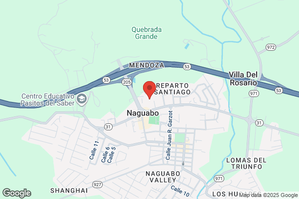 123 CORP NAGUABO