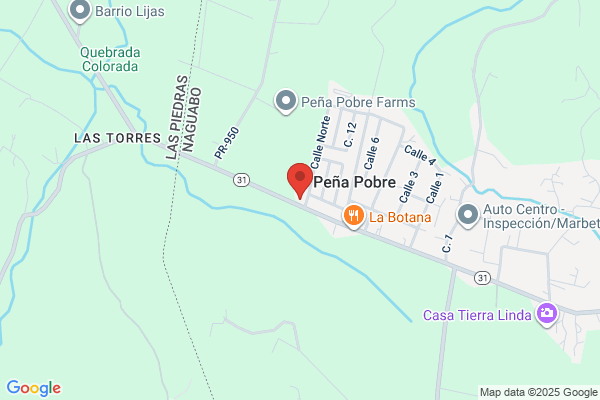 ASOCIACION PECUARIA DEL ESTE