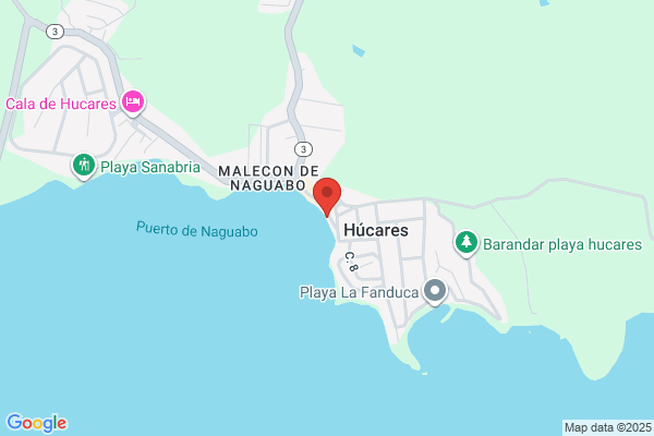 MARGARITA CHICO FUERTES