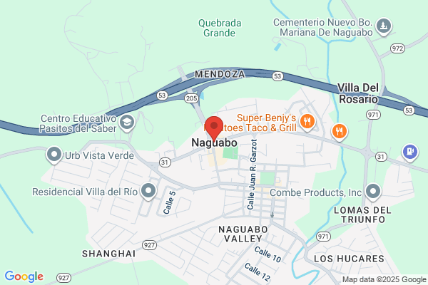 MIGUEL HOMAR INC