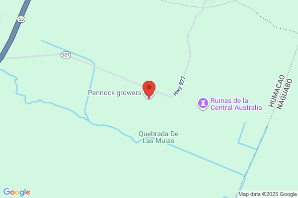 PENNOCK GROWERS
