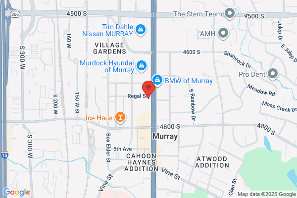 TITO AUTO SALES INC