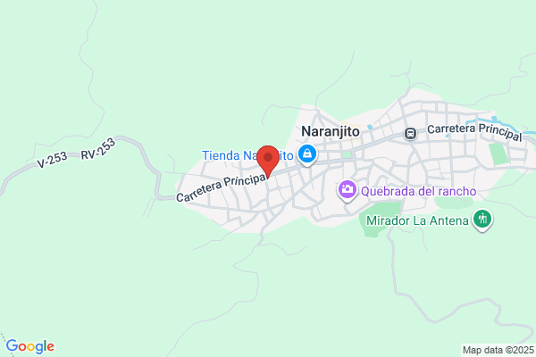 GASOLINERA NARANJITO