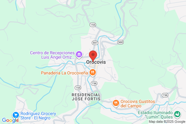 OROCOVIS AMBULANCE