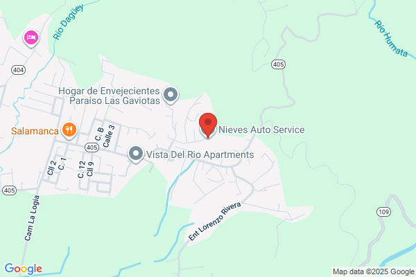NIEVES AUTO ELECTRONICS