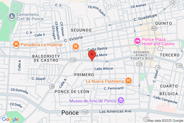 AUTO PART NUEVO MUNDO