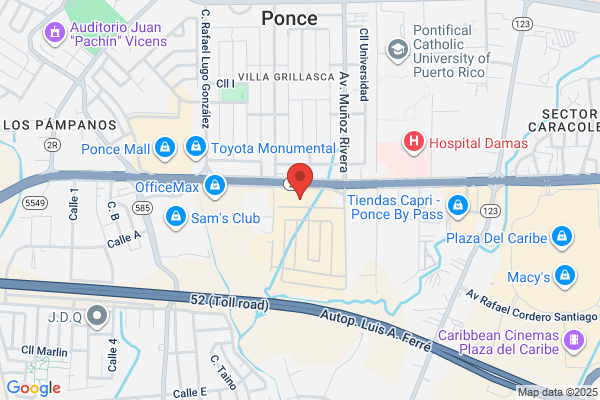 Advance Auto Parts