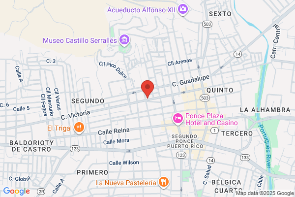 PROVIDENCIA BAKERY INC