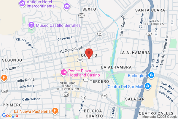 PRIMERA IGLESIA PRESBITERIANA