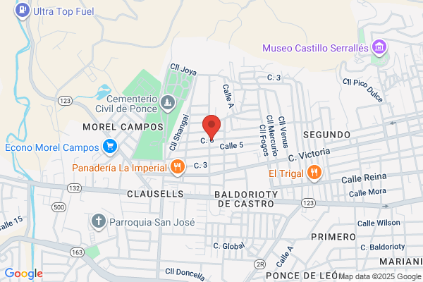 ELECTRIC SERVICE PONCE
