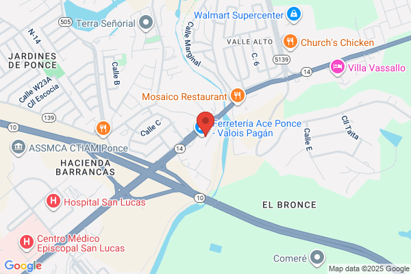 RAFAEL RIGUAL INC