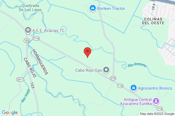 BORINQUEN GAS SVC