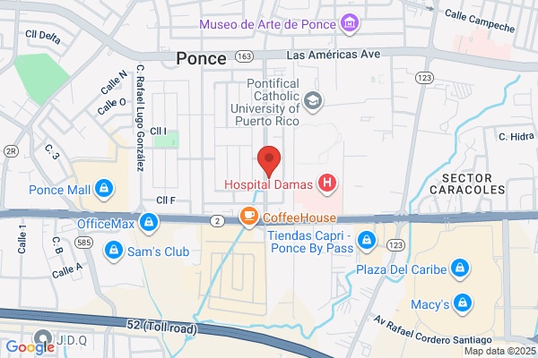 ELMER IRIZARRY CRUZ MD